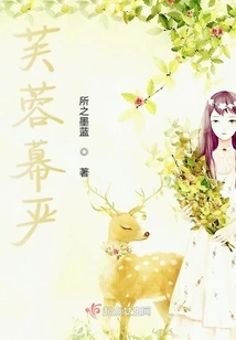 Hibiscus Curtain Yan