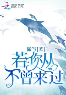 If You Have Never Been Here