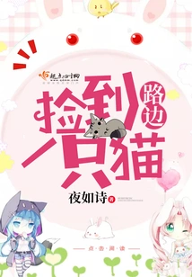 Picked up a Cat on the Roadside