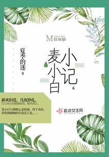 Mai Xiaobai's Notes