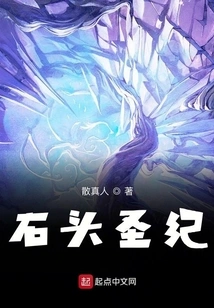 Stone Holy Chronicle