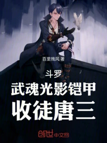 Douluo: Wuhun Light and Shadow Armor, Taking Tang San as His Disciple