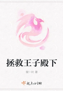 Save His Highness the Prince