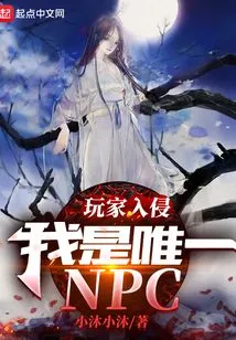 Player Invasion: I Am the Only Npc