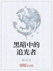 Light Chaser in Darkness