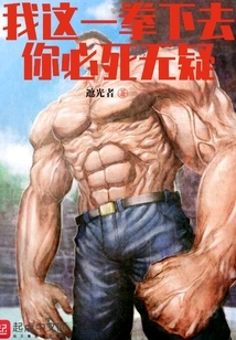 You Will Definitely Die If I Punch You