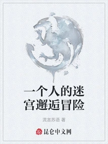 One Person's Maze Encounter Adventure