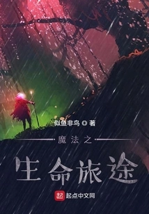 Magical Life Journey