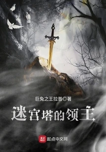 Lord of the Maze Tower