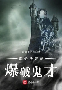 Hogwarts' Demolition Wizard