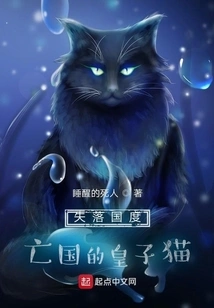 The Prince Cat Who Lost His Country