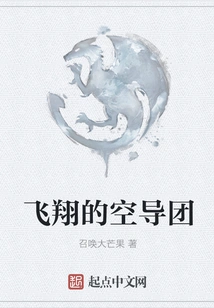 Flying Air Guidance Group