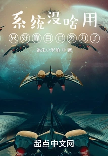 The System is of No Use and I Have to Rely on My Own Efforts