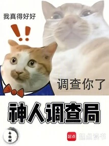 Divine Investigation Bureau