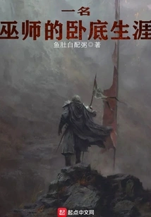 A Wizard's Undercover Career