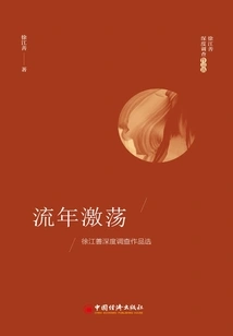 The Turbulence of Time: Selected Works of Xu Jiangshan's In-depth Investigation