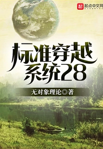 Standard Crossing System 28