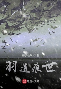 The World of Feathers