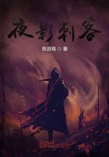 Night Shadow Assassin