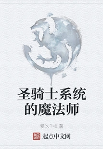 Magician of the Paladin System