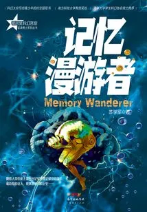 Memory Wanderer
