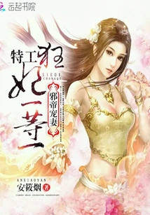 The Evil Emperor's Doting Wife: the Secret Agent's Crazy Concubine First Class