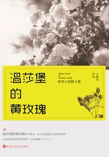 Yellow Rose at Windsor Castle