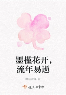 The Hibiscus Flowers Bloom, and the Years Pass Quickly