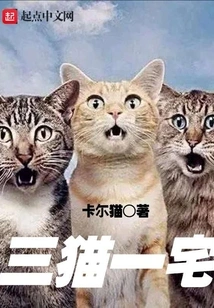 Three Cats and One House