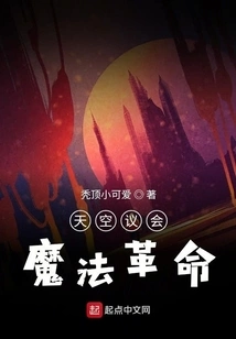 Sky Parliament Magic Revolution