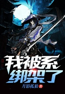 I Was Kidnapped by the System