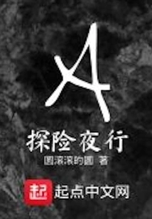 Adventure Night Walk