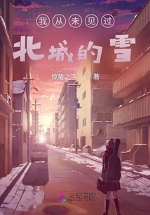 I Have Never Seen Snow in Beicheng