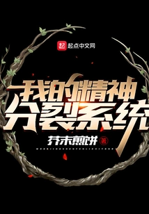 My Schizophrenia System