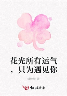 Spend All My Luck Just to Meet You