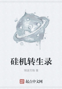 Silicon Machine Reincarnation Record