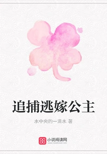 Hunting Down the Runaway Princess