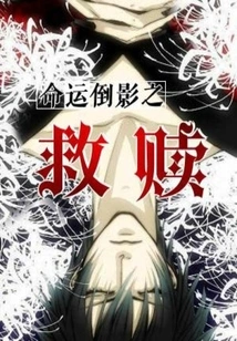 Reflection of Destiny Redemption