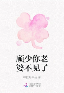 Mr. Gu, Your Wife is Missing