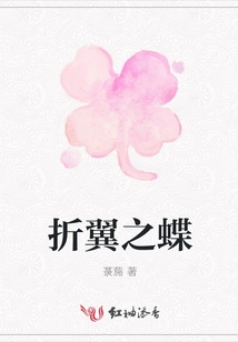 Butterfly with Broken Wings