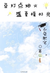 Bean Lantern Lights Fireworks Warm Summer Time