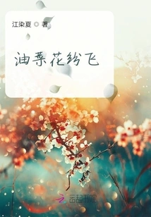 Rapeseed Flowers Are Flying