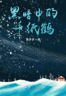 Paper Crane in the Dark