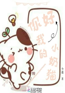 Hello My Little Kitten