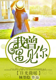 The Sun is Slightly Warm: I Once Met You