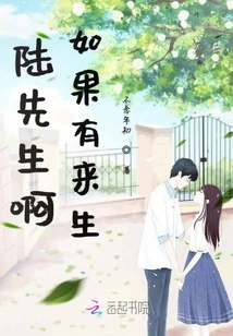 Mr. Lu, If There is an Afterlife