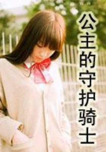 Princess's Guardian Knight