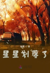 The Stars Have Fallen