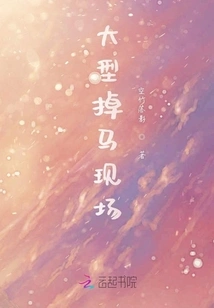 Large Horse Fall Scene