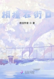 Collided at the Street Intersection